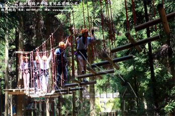 岐山草原知青林树上探险项目已建成